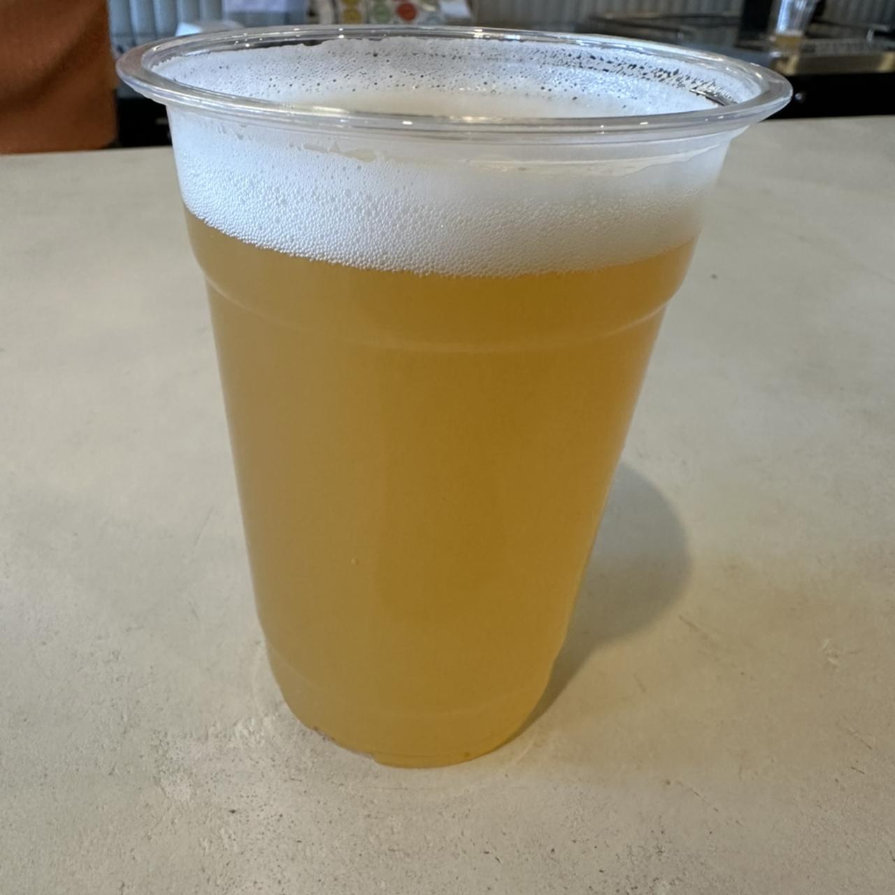 Acadia Fog Hazy IPA
