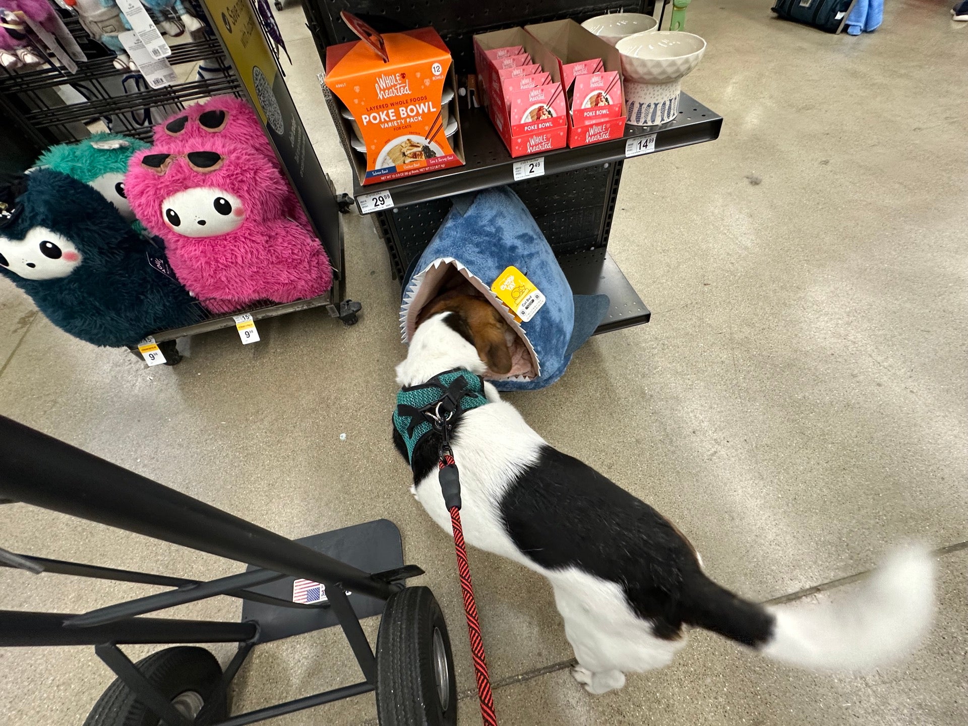Petco
