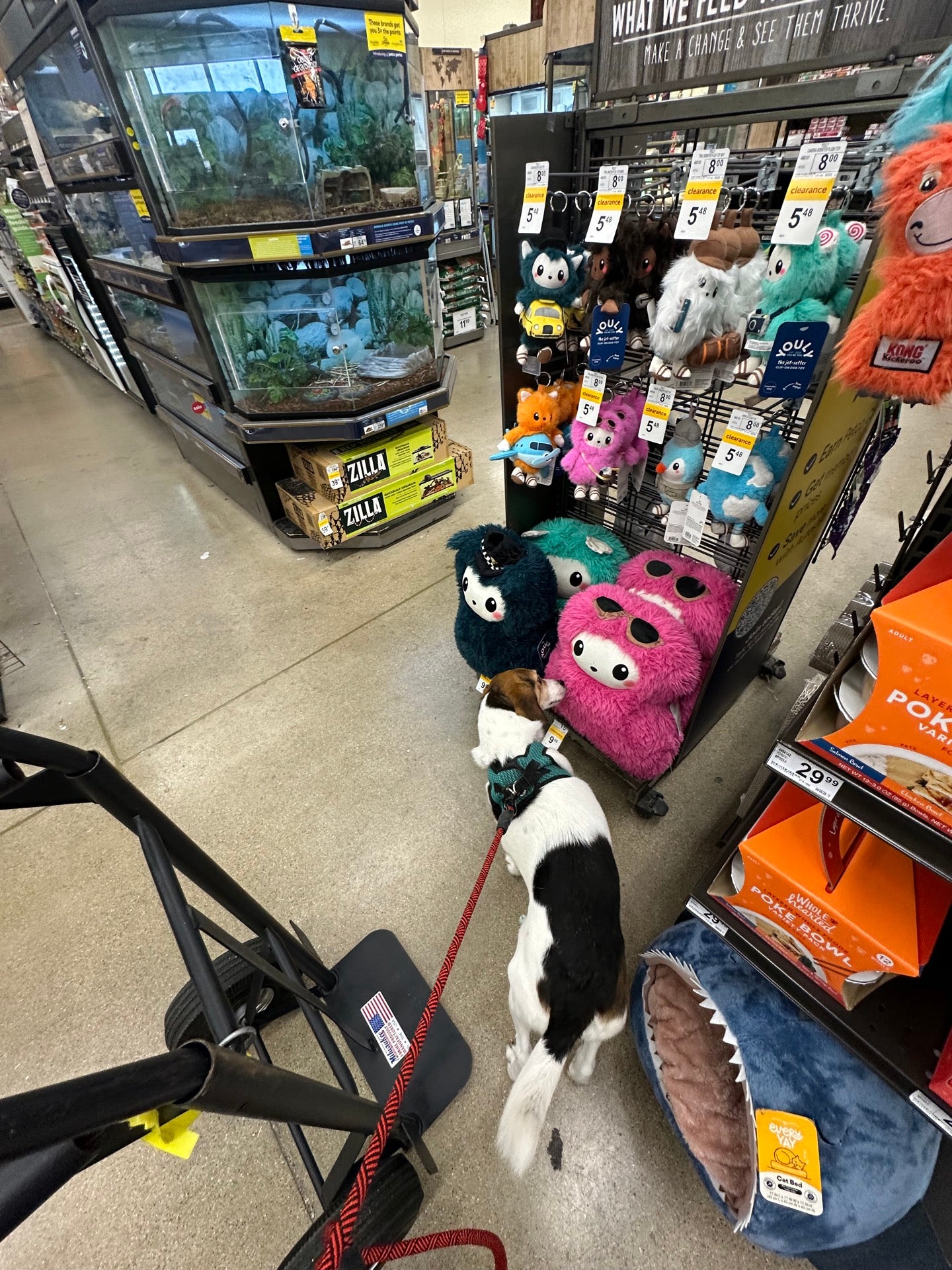 Petco